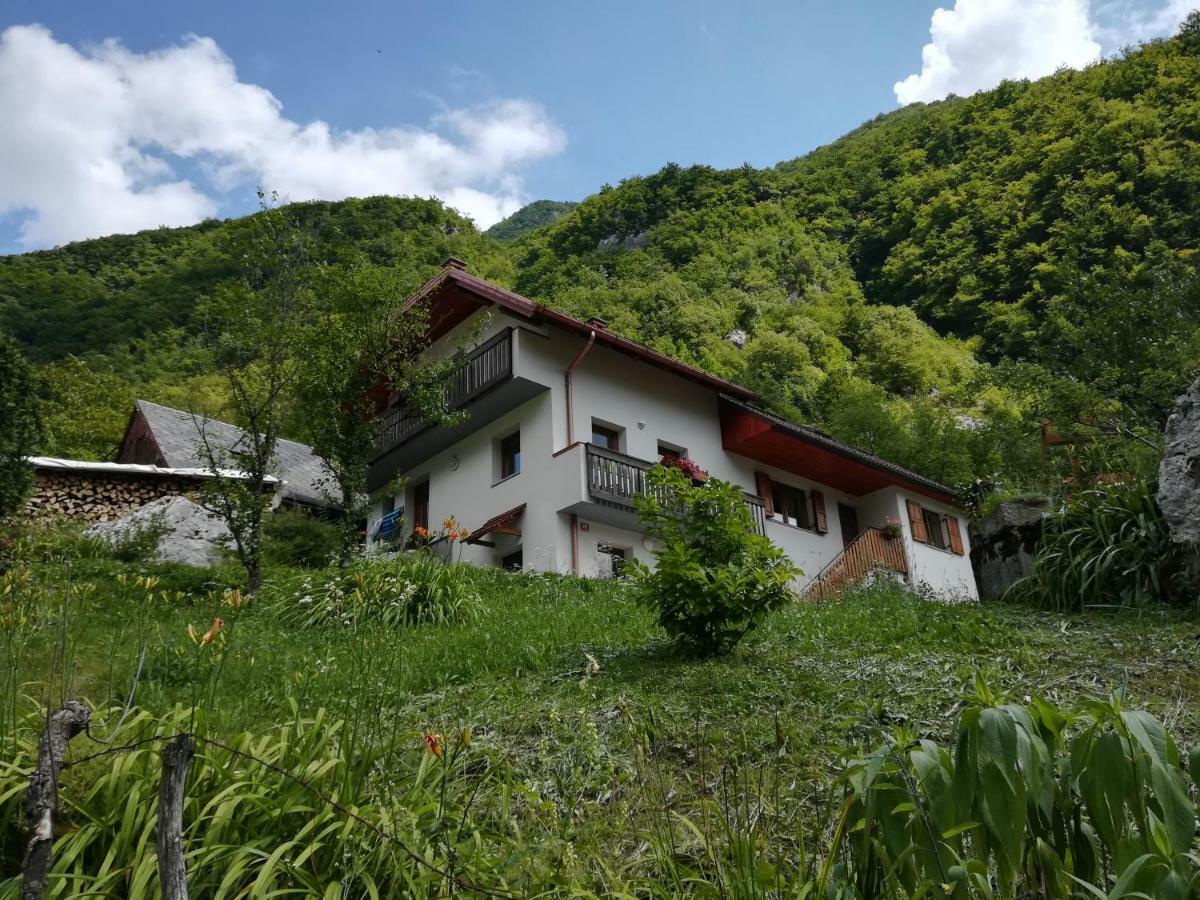 Apartma Ana Ida Srpenica Exteriör bild