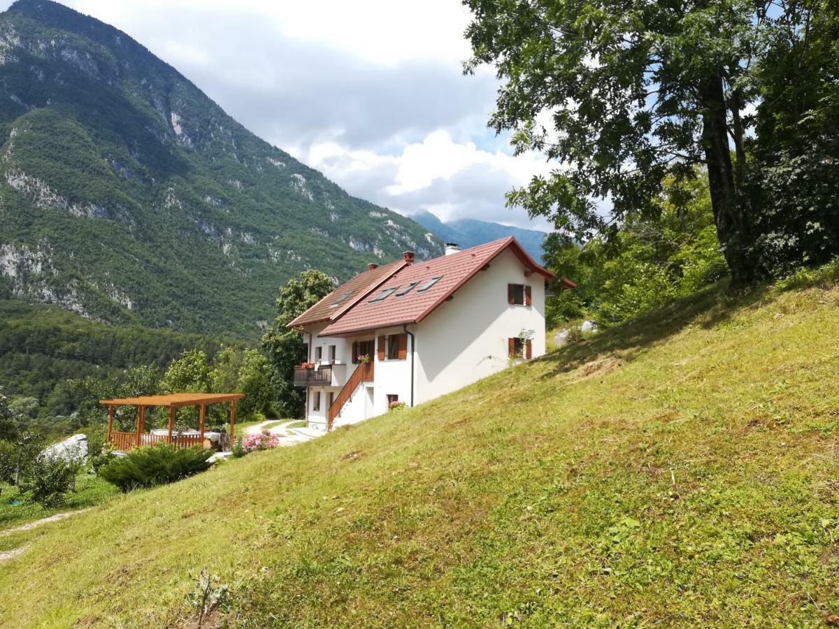 Apartma Ana Ida Srpenica Exteriör bild